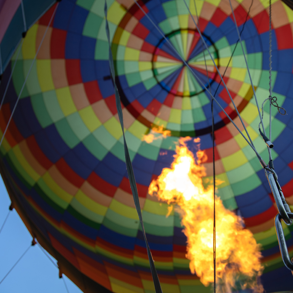 We have expertise in the sectors of tomorrow